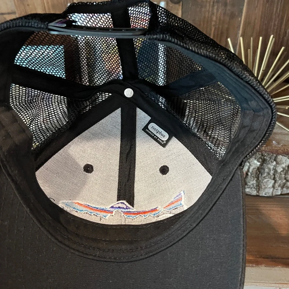 Patagonia one size Fitz Roy Trout trucker hat